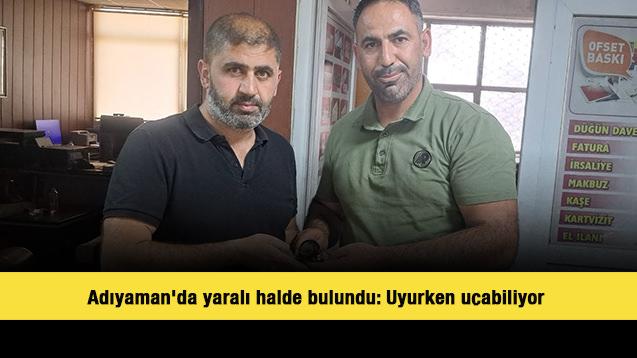Adıyaman'da yaralı halde bulundu: Uyurken uçabiliyor 